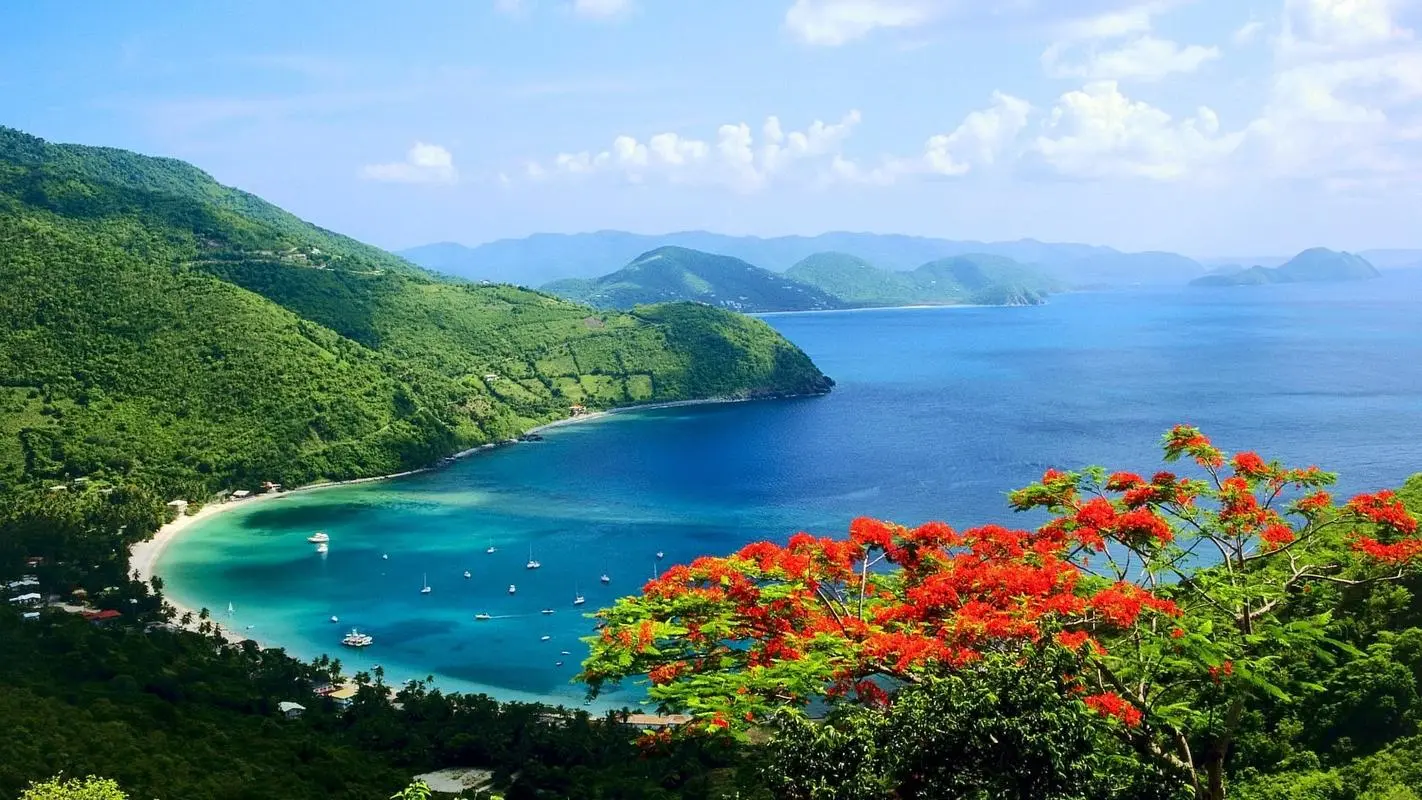 稳定性高端先进